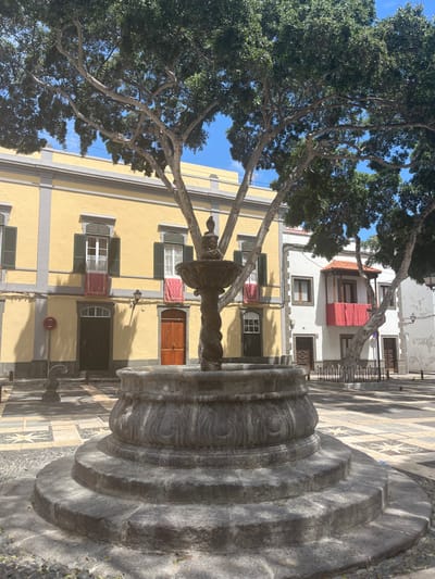 The image shows a stone fountain in a plaza in Las Palmas de Gran Canaria, Spain, located at coordinates 28.099, -15.416. The fountain is ornately decorated with carvings and sits atop a series of stone steps. It stands in the center of the plaza, surrounded by a paved area. In the background, a large tree with thick branches casts shade over the plaza. The plaza is bordered by buildings with yellow and white facades. The buildings have red-orange awnings and large windows, and the windows are fitted with decorative window shutters. One of the buildings appears to be a residential building. The plaza is empty except for the fountain. The sun is shining brightly, and the sky is a clear blue.