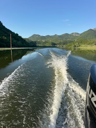 A boat is moving through a calm body of water, leaving a white foamy wake. The water is dark green and reflects the surrounding lush green hills. The sky is a clear, bright blue. A tall, thin red pole is visible on the left side of the image, with a dark object at its top. In the distance, rolling green hills form the backdrop, with a few scattered buildings visible on their slopes. The outboard motor of the boat, partially visible on the right, has the word "SUZUKI" written on it. The scene appears to be set in a natural environment, likely a lake or a wide river, given the presence of the vegetation and the calm water. This is likely Skadar Lake, near the village of Riječani, Montenegro, as it is known for its scenic beauty and boat tours.