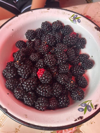 A close-up, overhead shot shows a metal bowl filled with blackberries, with one partially red blackberry visible. The bowl has an olive branch design on its rim. The berries are placed on a patterned tablecloth. A person's legs in black shorts are visible in the upper left corner. The image's lighting creates a red tint. The scene appears to be indoors. There is no information about the location in Yanovo-Grushevskii, Russia.