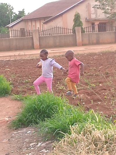 In Barakin Angundi, Nigeria, two young children are walking through a cultivated field. A young girl on the left, wearing a lavender long-sleeved shirt and pink pants, is holding a light-colored object in her right hand. To her right, a younger boy, dressed in a red t-shirt and orange pants, walks in tandem, holding her hand. They are moving from left to right across the frame, navigating the uneven, brown soil. In the foreground, lush green grass lines the edge of the field, contrasting with the dry, sparse vegetation further back. Beyond the field, a beige building with a brown roof and a dark fence runs along the perimeter. The sky is overcast, casting a soft light on the scene.