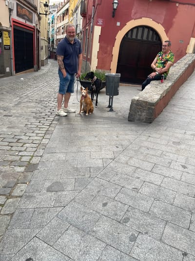 A man with a beard and tattoos on his arm stands on a cobblestone street in Santa Coloma de Gramenet, Spain, with two dogs. He is wearing a dark blue polo shirt and denim shorts. The dog closest to him is a medium-sized tan dog with its tongue out. Behind it is a black dog. The man is holding leashes for both dogs. To his right, another man is sitting on a stone wall. He is wearing a colorful short-sleeved shirt and black pants, with glasses. He appears to be holding a red can. The street is lined with buildings, one of which has a red facade with an arched doorway. The buildings are several stories high and have balconies. The ground is paved with cobblestones and large granite tiles. There is a black trash can with a perforated design near the seated man. The overall scene is an outdoor urban environment.