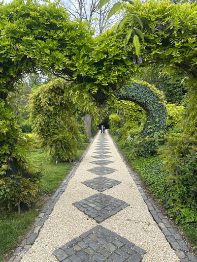 The image shows a long, straight pedestrian walkway in Nicolae Romanescu Park in Craiova, Romania. The path has a patterned surface of light-colored gravel interspersed with dark gray stone diamonds. It is bordered by gray cobblestones. The path is flanked by dense greenery, including trees, bushes, and ivy, forming an arched tunnel overhead. Two people can be seen distantly at the end of the path.