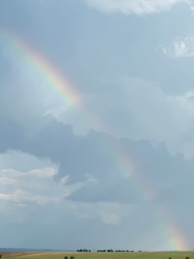 The image depicts a rural landscape under a partly cloudy sky, featuring a prominent rainbow. The sky is a mix of light blue and grey clouds, with the rainbow stretching diagonally across the upper left portion of the frame. Below the sky is a wide expanse of green and brown fields, indicating agricultural land. A line of trees is visible along the horizon, separating the fields from the distant rolling hills. There are no people or specific structures that identify the location as Николо-Петровка, Russia. The scene is natural and serene, captured on a day with intermittent sunlight and cloud cover, conducive to the formation of a rainbow.