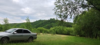 The image depicts a rural landscape in Altayskoye, Russia, under a cloudy sky. A silver sedan is parked on a grassy field in the foreground, its side facing the viewer. Behind the car, a dense forest covers a rolling hill. To the right, lush green trees with dense foliage create a natural border, their branches extending into the frame. The overall scene suggests a tranquil natural setting, possibly a remote picnic spot or campsite.