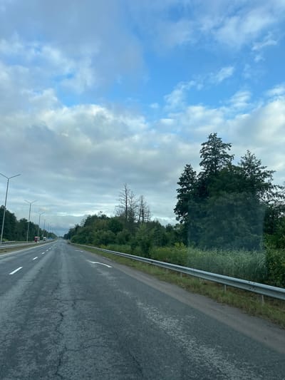 The image shows a view of a highway in Nova Vasylivka, Ukraine, from the perspective of a vehicle traveling on the road. The road is paved and shows signs of wear, with cracks visible in the asphalt. White lane markings are present. On the right side of the road, a metal guardrail separates the highway from a grassy shoulder and dense vegetation. Tall trees, some bare and others with foliage, line the roadside. Overhead, a cloudy sky with patches of blue is visible. Streetlights are positioned along the left side of the highway. In the distance, other vehicles, including a truck, can be seen on the road. The overall scene depicts a rural or suburban highway environment under an overcast sky.