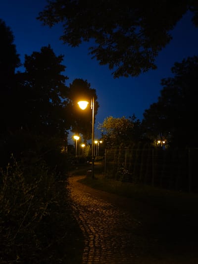 This is a nighttime photograph of a cobblestone pathway winding through a park in Rumia, Poland. Several lampposts with warm yellow lights illuminate the path, casting long shadows. The path is bordered by dark foliage on the left and a fence with dense greenery behind it on the right. Trees with dark silhouettes are visible against the deep blue night sky, with some branches extending into the frame at the top. The scene appears tranquil and empty.