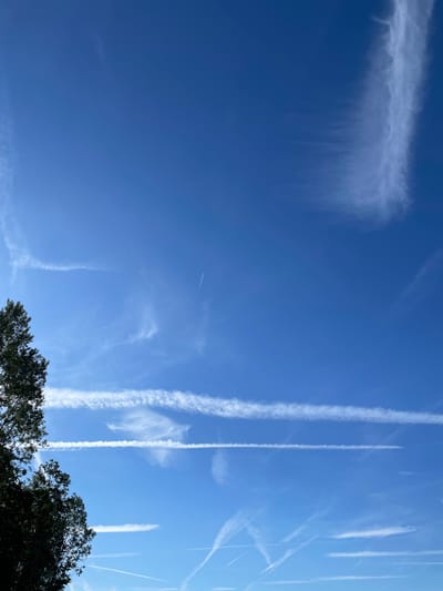 The image depicts a clear blue sky with several contrails left by airplanes. In the lower left quadrant, the dark green foliage of a tree extends upwards. The sky is the dominant element, showing a range of white streaks, some thin and wispy, others thick and defined, indicating various flight paths. The scene is outdoors and appears to be a bright, sunny day. No people or specific structures within Lokeren are visible.