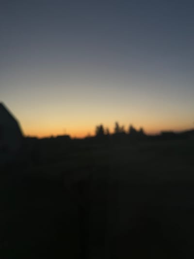 The image is a photograph taken during dusk, likely in Chemerne, Ukraine. The scene depicts a silhouetted landscape against a gradient sky of deep blue transitioning to a soft orange and yellow horizon, indicating the setting sun. The right side of the image is dominated by the dark silhouette of trees, their irregular shapes suggesting a natural treeline. In the foreground, also in silhouette, is what appears to be a building or structure, with a roofline visible. The overall mood is one of quiet transition as day gives way to night. The image is soft and slightly blurred, which adds to the atmospheric quality of the sunset. There is no visible text in the image.