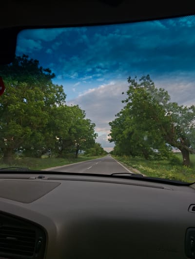 The image shows a view from inside a car, looking out through the windshield. A narrow asphalt road stretches ahead, flanked by lush green trees on both sides, forming a canopy above the road. The sky is visible through gaps in the trees, displaying a mix of blue sky and white clouds. The car's dashboard is visible in the foreground, with features like vents and airbags clearly discernible. Based on the road type and vegetation, the location is likely a rural area. I do not see specific clues allowing me to place this view as in the city of Pobeda, Bulgaria.