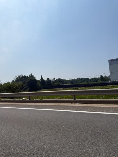 A wide, clear blue sky dominates the upper half of the image, with a hint of haze near the horizon. In the middle ground, a dense line of green trees forms a natural barrier, with some taller, more pointed trees interspersed among broader, rounded ones. Beyond the trees, to the right, a tall, white building with a red logo and Korean text is visible, suggesting an industrial or commercial area. Power lines are strung across the scene above the trees. The foreground features a paved road with a white line marking the edge. A metal guardrail runs parallel to the road, separating it from a grassy embankment with scattered yellow wildflowers. A small amount of white debris is present on the embankment. The overall scene depicts a roadside view on a sunny day, possibly on the outskirts of Cheonan-si, South Korea.