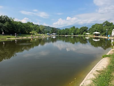The image depicts a serene lake scene on a bright, sunny day. The sky is a vibrant blue, dotted with fluffy white clouds, suggesting fair weather. Lush green trees line the far bank of the lake, with rolling hills and mountains visible in the distance, hinting at a natural, possibly rural or park-like setting.
Several people are scattered along the grassy bank of the lake, engaged in fishing. They are seen sitting on chairs or crouching, with fishing rods extended towards the water. Some are positioned near white umbrellas that provide shade, suggesting a recreational area. There are also some white gazebos or small structures with tables and chairs, indicating amenities for visitors. The water of the lake is calm, reflecting the trees and sky, with ripples visible in some areas. The shoreline on the right side of the image is a sloping bank of gravel and grass.
The overall mood is peaceful and relaxed, indicative of a leisure activity. The time of day appears to be late morning or early afternoon, given the bright sunlight and clear sky. The presence of power lines overhead suggests proximity to infrastructure, but the natural beauty of the landscape dominates. No visible text is present in the image. The location context provided is German, Bulgaria, which aligns with the visual cues of a natural landscape with recreational facilities.