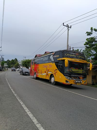 This image captures a bright yellow bus with red and gold accents driving down a paved road in Kuta Pungwa, Indonesia. The bus is branded with "Mercedes-Benz" and "Sempati Star." The road is lined with trees and utility poles, and a few other vehicles, including cars and a smaller van, are visible on the road ahead of the bus. The sky is overcast. The scene appears to be a typical day in this Indonesian town.