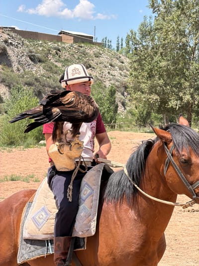 A person on horseback, with a bird of prey on their arm, is depicted in this vertical, outdoor photograph. The person, wearing a traditional Kyrgyz hat (kalpak) and a maroon shirt, is seated on a brown horse. The bird, a large raptor, is held on the person's gloved left forearm. The horse is fitted with a bridle and a saddle pad. The scene appears to be a rural, arid environment with sparse vegetation and a dirt ground. In the background, a hillside is visible with some structures, possibly rural dwellings or farm buildings. The sky is blue with scattered clouds, suggesting fair weather. The lighting indicates it is daytime, likely mid-morning or afternoon. The overall impression is one of cultural tradition and connection with nature, common in parts of Central Asia like Kyrgyzstan, where falconry is a practiced art.