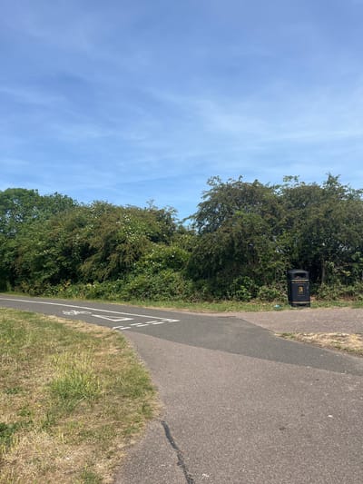 A view of a paved path in East Suffolk, United Kingdom, under a sky with light clouds. The path is marked with a bicycle symbol, indicating its use as a cycle path. To the left of the path, there is a line of dense vegetation, with various shades of green, including trees and bushes. A black trash receptacle is visible within the vegetation. The path continues into the distance. The weather appears to be clear and sunny.