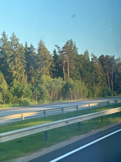 The image captures a view from a vehicle traveling along a highway, indicated by the road markings and barriers on the right side of the frame. The scene is dominated by a dense forest of evergreen and deciduous trees lining the left side of the road. The trees are lush and green, suggesting a time of year between spring and autumn. Sunlight filters through the canopy, creating dappled light and shadows. The sky is a clear, bright blue, indicating fair weather and likely daytime, possibly late afternoon given the warm tones of the light. The perspective is from inside the vehicle, looking outwards at an angle, as if captured from a passenger seat. There are no people or specific objects that draw attention, the focus being on the natural landscape adjacent to the highway. The overall impression is one of a peaceful journey through a wooded area. The location context of Medemciems, Latvia, suggests a European setting, likely a rural or semi-rural highway. No text is visible in the image.