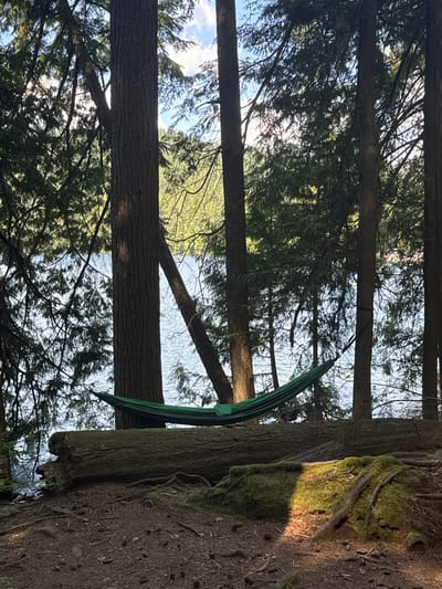 In Port Moody, Canada, a green hammock is strung between two trees, overlooking a tranquil lake. The hammock rests above a large fallen log, covered in moss and surrounded by the forest floor, which is scattered with pinecones and fallen needles. Tall evergreen trees frame the scene, their branches creating a dappled canopy that allows sunlight to filter through. The lake's surface reflects the blue sky and scattered clouds, with a hint of greenery from the distant shore. No people are present in the image.