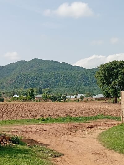 A wide shot captures a rural landscape at eye level, under a light blue sky with scattered white clouds. In the background, a large, tree-covered mountain dominates the horizon, its slopes a deep green. At the foot of the mountain, a cluster of buildings with light-colored roofs is visible, surrounded by vegetation. A large, leafy green tree stands prominently on the right side of the image, its branches spread wide. In the foreground, a large field of tilled brown earth stretches across the scene. A dirt path, with some eroded sections, winds through the lower portion of the image, bordered by patches of green grass. The overall impression is one of a quiet, agricultural community nestled in a natural setting.