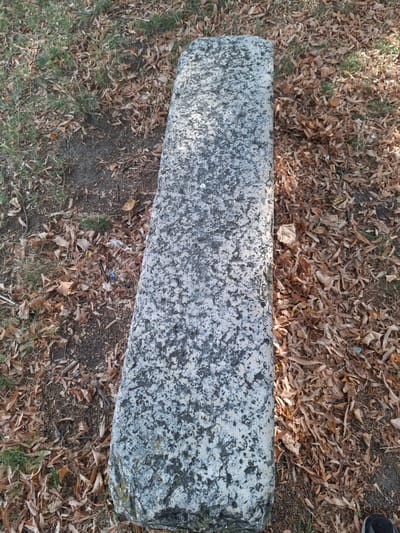 A long, rough-hewn stone slab, possibly a bench or monument, lies on the ground in Pieve Saliceto, Italy. It is surrounded by fallen, dry leaves and patches of grass. The stone itself is mottled with gray and black, showing signs of age and weathering. The ground beneath is a mixture of soil and organic debris. There is no indication of any recent human activity or any specific features that would pinpoint a more precise location within Pieve Saliceto.