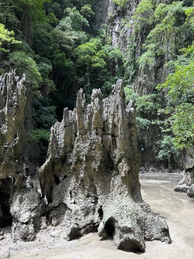 This image shows a natural landscape with unusual rock formations and lush vegetation. In the foreground, there are several tall, jagged rock spires that appear to be made of limestone or a similar material. These formations are textured and eroded, with hollows and cavities visible. The ground around the rocks is sandy and wet, with shallow water reflecting the surroundings. In the background, steep, rocky cliffs rise up, covered in dense green foliage and trees. The vegetation appears tropical, with a variety of leafy plants and vines clinging to the rock faces. The overall scene suggests a natural, possibly secluded, environment. The location is identified as Krasom, Thailand.