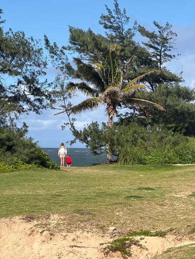 The image depicts a coastal scene with two individuals standing on a grassy bluff overlooking the ocean. A palm tree and other trees are on the left side of the frame, and the sky is partially visible. One individual is wearing a white top, while the other is wearing a red top. The grassy area transitions into a sandy area on the right side of the frame.
The location is likely near Laie, Hawaii, United States.