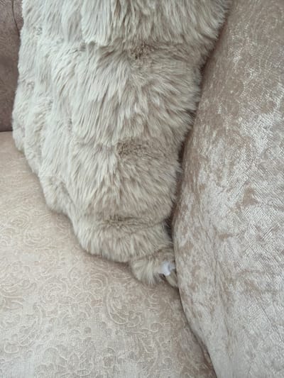 A close-up shot focuses on the textures of two cushions. The cushion in the foreground is covered in a long, fluffy, cream-colored faux fur. It appears soft and luxurious. The cushion behind it is a lighter shade of cream and has a textured, almost velvet-like finish with a subtle damask pattern woven into the fabric. The two cushions are positioned so that the furry one is partially tucked into the crevice of the textured one, creating a soft, cozy visual. In the lower left portion of the image, a small part of a third, darker cushion or furniture piece is visible, hinting at a larger seating arrangement. A tiny white object, possibly a paw or a bit of stuffing, is peeking out from between the two main cushions, adding a touch of intrigue to the scene. The lighting is soft and diffused, suggesting an indoor setting, possibly a living room or a bedroom, where comfort and relaxation are key. The overall impression is one of warmth and plushness. There is no visible text.