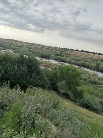 The image depicts a natural landscape with a river flowing through a valley lined with dense vegetation. In the foreground, there is a steep grassy slope covered with various types of bushes, including some thorny plants and feathery green foliage. A large, leafy tree stands prominently on the left side of the slope.

The middle ground reveals the river winding its way through the valley. The riverbanks are heavily vegetated with a variety of shrubs and trees, creating a lush, green expanse. Beyond the river valley, the landscape transitions into agricultural fields, characterized by rows of trees and cultivated land. In the distance, a hazy horizon suggests the presence of more distant landforms or structures.

The sky above is overcast with heavy, grey clouds, indicating a potentially cloudy or approaching storm. The overall impression is a rural, natural environment, possibly on the outskirts of a settlement. Based on the provided location of Көксаяқ ауылдық округі, Kazakhstan, this scene likely represents the natural scenery found in that region, characterized by river valleys and agricultural surroundings. There are no people or animals visible in the image, and no specific actions or interactions are taking place.