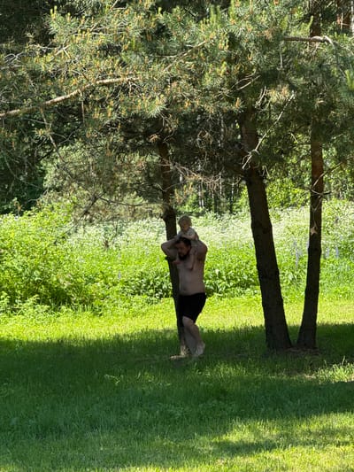 The scene is a sunlit outdoor natural environment in Копнино, Russia. An adult male, appearing in his 30s to 40s, is depicted shirtless, wearing black shorts, and standing barefoot. He has a beard and is partially obscured by a pine tree trunk on the left. He is carrying a young child, a toddler with light-colored hair, on his shoulders; the child is dressed in light-colored clothing. Several large pine trees with green needles and visible new growth are prominent, dominating the upper and mid-sections of the image and casting strong, distinct shadows across the bright green grass in the foreground. In the midground, dense green foliage comprises various bushes and herbaceous plants, featuring extensive patches of small white flowers and scattered purple flowers. The background reveals a further expanse of green trees, suggesting a forest or wooded area under clear, bright conditions, indicative of late spring or summer.