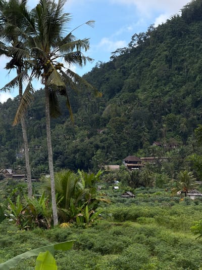 The image depicts a tropical landscape, likely in or near Sidemen, Indonesia. Lush vegetation dominates the scene, including a dense forest covering a steep hillside. Several houses and structures are visible interspersed within the forest. In the foreground, palm trees and banana plants are present. The sky is partly visible, showing blue sky with scattered clouds.