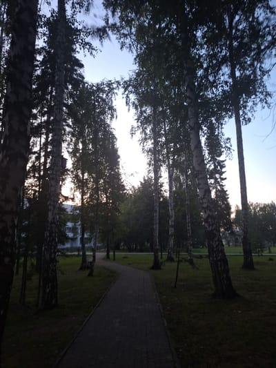 A paved pathway curves through a park in Atamanovka, Russia, bordered by grassy areas and numerous tall birch trees with distinctive white bark. The sky above is a pale blue, transitioning to lighter shades near the horizon, suggesting it is either early morning or late evening. Sunlight filters through the dense foliage of the trees, creating dappled shadows on the ground. In the background, a light-colored building with visible windows can be seen, partially obscured by the trees. A small, dark-colored birdhouse is mounted on one of the birch trees to the left of the pathway. The scene is serene and natural, with no people visible.