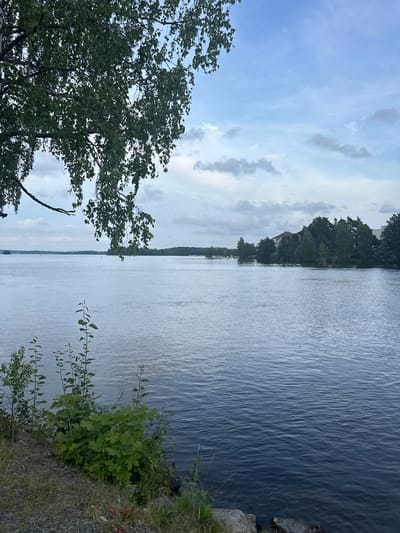 This is a horizontal, eye-level, medium shot of a serene lake with a tree branch in the foreground. The tree branch, with its green leaves, is on the left side of the frame, partially obscuring the sky. The lake occupies the majority of the image, its surface rippling gently. On the opposite shore, a dense line of trees is visible, with some buildings peeking through the foliage. The sky is cloudy, with patches of blue peeking through. The location is near the city of Vammala, Finland. The overall mood is peaceful and tranquil.