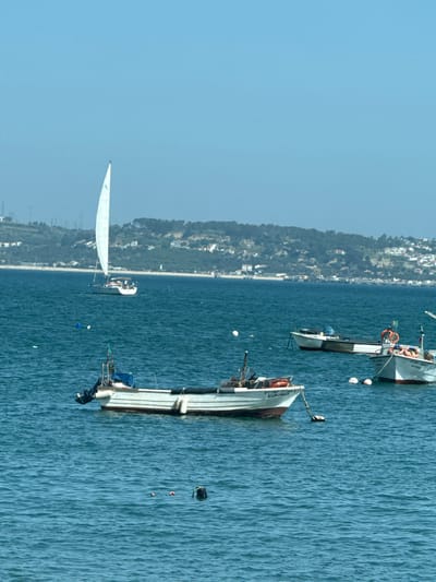 A vertical, high-angle shot captures a body of water with several boats and a coastline. The water is a deep blue with a textured surface, indicating mild chop. In the foreground, a white sailboat is partially visible, its sail extended. Further out, a white motorboat with a dark hull is anchored, and another similar boat is visible in the distance. A more distant shoreline features a densely wooded hillside dotted with houses. The sky is a clear, pale blue, suggesting a bright, possibly sunny day. The overall scene appears calm and peaceful.
Text is visible on the side of one of the motorboats: "PTT.RF-11728-L EUROMAR".