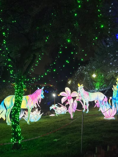 At night in Puente Alto, Chile, illuminated Chinese lanterns in the shapes of flowers and unicorns stand on a green lawn. A bare tree stands to the left, with green fairy lights interwoven in its branches. Another tree in the background is lit with white lights. The ground is dark. Chains hang on the right.