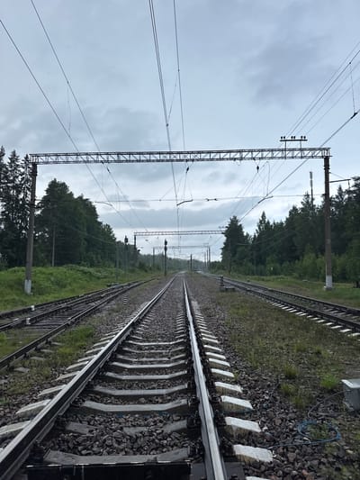 The image depicts a view of multiple railroad tracks stretching into the distance under an overcast sky. The tracks are made of steel rails supported by concrete sleepers and gravel ballast. Overhead electrical wires for the trains are suspended from metal gantries supported by tall concrete poles. Dense green forest borders the railway on both sides. The scene is located in Orekhovo, Russia. There are no people or animals visible in the image. The environment appears to be a rural or suburban area with a focus on infrastructure. The lighting suggests it is daytime, but the cloudy conditions give a subdued atmosphere. The detail of the electrical infrastructure and the signs on the poles indicate an active railway line.