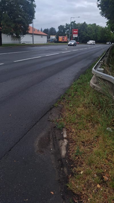 This is a vertical, eye-level, slightly tilted-down photograph taken on an overcast day. The scene depicts a roadside in Štětí, Czechia. The foreground is dominated by a wet asphalt road with white lane markings. To the right of the road, there is a grassy verge with some dry patches and fallen leaves. A light-colored guardrail runs along the top edge of the verge.
In the middle ground, there are several vehicles, including a white van, a dark-colored car, and a red car. A white building with an orange-tiled roof is visible to the left, partially obscured by trees. Two billboards are present: one red billboard with white lettering that reads "PENNY" and "ZEMAN," and another smaller billboard with an orange background and yellow text that also appears to be advertising for "PENNY." A streetlamp is also visible. The background features a dense line of green trees against a gray, cloudy sky. The overall impression is of a commercial area alongside a road on a cloudy day.