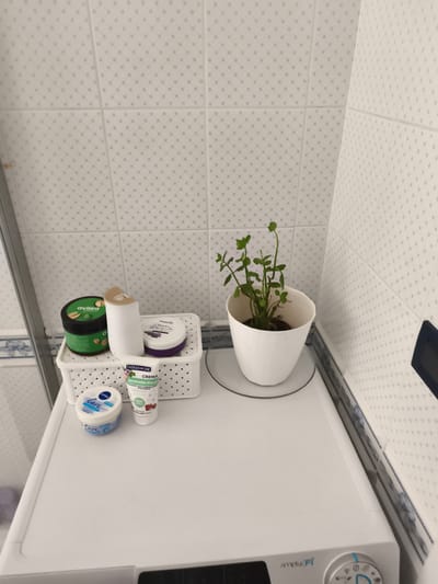 This is a medium shot of a white washing machine with various personal care items and a small potted plant on top. The background consists of white tiled walls with a subtle, repeating pattern of small, grey dots. The tiles are arranged in a grid.

On the washing machine, arranged on a white woven basket, are several items. To the left is a round green jar with a black lid, labeled "avitea" and with an image of pistachios. Next to it is a white cylindrical object with a beige lid, possibly a dispenser. To the right of these is a round purple jar with a white lid, labeled "Magnolia Crema" and featuring an image of lavender. In front of the basket, there are two tubes and another round jar. One tube is white with green and pink labeling, reading "FARMA+LINE CREMA Idratante Piedi". The other is a white tube with blue labeling, possibly "NIVEA Care".

To the right of the basket is a small potted plant in a white textured pot. The plant has several green leaves and stems reaching upwards. The pot sits on a clear glass coaster.

The washing machine itself is white and has a control panel visible at the bottom right, showing a circular dial with icons and text that appears to read "simply Fi". The overall scene is clean and organized, suggesting a bathroom or laundry area. There are no people or animals visible. The lighting is bright, suggesting it is daytime, and there are no clues about the weather. The location is specified as Livorno, Italy.