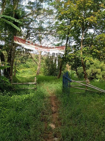 A path leads through tall grass towards an opening framed by trees. A weathered banner hangs between the trees, displaying tattered edges and faded text with numbers. A makeshift gate, constructed from wood and painted blue, stands slightly ajar on the right side of the path. The scene exudes a sense of abandonment and natural overgrowth.