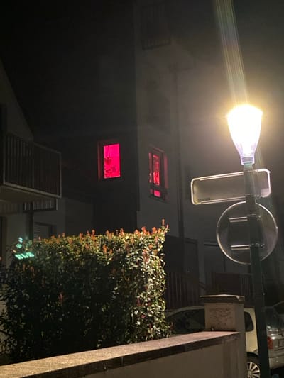 The image presents a nocturnal outdoor scene in Hoenheim, France. A multi-story building occupies the background, featuring two upper-floor windows that emit a vivid magenta-red light. Within the left illuminated window, several plants are visible. A dark-toned balcony railing is present on the building's left side. In the mid-ground, a dense, trimmed hedge displays dark green foliage with clusters of reddish-orange new growth. A prominent streetlamp on the right side emits a bright, warm white light, illuminating part of the environment. Attached to the streetlamp pole are a blank rectangular road sign and a partially reflective circular traffic sign. A light-colored vehicle is partially visible behind the streetlamp structure on the lower right. A low, light-colored concrete wall forms the foreground. No individuals are present.