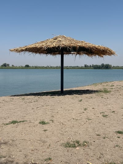 A lone thatched umbrella stands in the sand on the shore of a lake, casting a shadow. The lake is calm and reflects the clear blue sky. Across the water, a line of trees and buildings can be seen on the horizon. The sand is dry and sparse with patches of green grass. The image appears to be taken in the city of Dehkanabad, Uzbekistan.