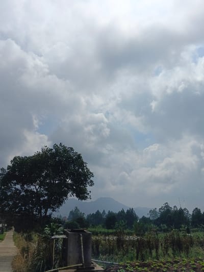 This image depicts a rural or semi-rural landscape located in the city of Nam Sa Lat, Myanmar. The sky is largely covered by expansive white and gray cumulus and stratocumulus clouds, with intermittent small patches of clear blue visible. In the foreground on the left, a light-colored paved path or road extends into the distance, bordered by tall grasses. A prominent, large, dark green leafy tree stands in the mid-left, its canopy reaching towards the upper frame. Below this tree, a weathered concrete structure, potentially a water tank or utility box, is positioned, featuring visible pipes or supports. To the right of the path and beyond the concrete structure, a field of diverse vegetation is present, characterized by both low-lying green plants and taller, darker dry stalks. A dense line of various trees, including evergreens, forms a natural boundary in the mid-distance. The background features a range of hazy, dark green mountains with undulating peaks, partially obscured by atmospheric conditions. No individuals, animals, or specific actions are visible within the frame.
