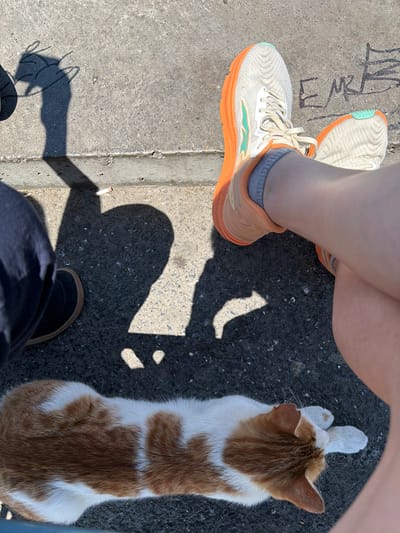 The image shows a top-down view of a person's legs and feet, as well as an orange and white cat. The person is wearing white and orange athletic shoes and grey socks, with a portion of their legs visible. The cat is positioned to the right, facing away from the camera, with its front paws extended. The scene takes place outdoors on a sunny day, indicated by the strong shadows cast on the asphalt ground and concrete sidewalk. The ground has some graffiti on the concrete, and the asphalt is speckled with small white stones. There are also two discarded cigarette butts visible near the edge of the sidewalk. The presence of shadows and the clear lighting suggest it is daytime. The overall setting appears to be a street or public walkway, potentially in Kadıköy, Turkey, given the context. The activity appears to be a moment of rest or waiting, with the person and the cat sharing the space.