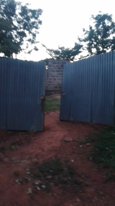 The image captures an outdoor scene in Siaya Township ward, Kenya, focusing on an open gateway. Two dark-colored, vertically corrugated metal gates are present, each partially open and swung inwards, revealing a passage. The left gate is open to the left, and the right gate is open to the right. Behind the gates, a wall constructed from grey concrete blocks is visible. The ground in the foreground and through the gate passage consists predominantly of reddish-brown earth, with scattered patches of green grass, particularly on the right side of the path. Above the structures, a bright, overcast sky is visible, with dark green tree foliage silhouetted against it on both the left and right sides of the frame. No individuals are present, nor are any specific objects other than the gates, wall, and natural environment. The scene is illuminated by ambient light, suggesting either early morning, late afternoon, or an overcast daytime condition.