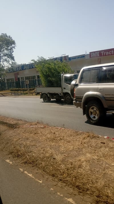 A daytime shot shows a roadside scene with a two-lane road. On the road, a pickup truck carries a load of green bushes, positioned behind a parked SUV. Adjacent to the road, a verge area features dry, yellowed vegetation. Across the street, a building displays signs for "CRATER AUTO", "ASHOK LEYLAND", and "SAME Tractors". The sky is clear and bright.