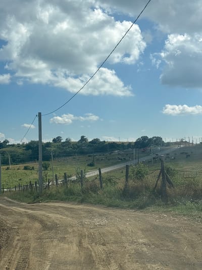 The image captures a rural landscape under a partly cloudy sky, likely in the vicinity of Orbeti, Georgia. In the foreground, a dirt road curves upwards, showing tire tracks from vehicles. A simple wire fence with wooden posts runs along the right side of the road. Beyond the fence, a grassy field slopes upwards towards a road in the mid-ground. Several dark-colored animals, possibly cattle, are scattered across the field and along the roadside. A few electric poles and wires are visible, stretching across the scene. In the background, a line of green trees and hills forms the horizon, with more distant structures or terrain on the far right. The sky is a vibrant blue, dotted with fluffy white and gray clouds.