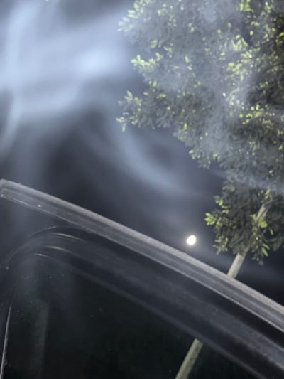 The image depicts a nighttime scene in Seixal, Portugal. The primary subjects are a cluster of trees with green leaves, partially obscured by a hazy, smoke-like substance that drifts through the air. In the upper right quadrant of the image, a bright, round light source, likely the moon, is visible against a dark sky. A dark, curved object, possibly a car roof or an architectural element, dominates the right side of the frame, creating a diagonal line. The overall atmosphere is somewhat mysterious and hazy, with the moonlight creating a soft glow on the leaves and through the mist. The time of day is clearly night. There is no visible text in the image.