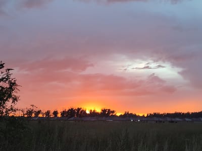 This image depicts a sunset over a field in the city of Ivanovka, Russia. The sky is a vibrant gradient of orange, pink, and purple hues, with scattered clouds. A line of trees and houses is visible in the distance, silhouetted against the setting sun. The foreground is dominated by a field of tall grass and foliage. There are no people or animals in the image. The overall impression is one of a serene and picturesque natural landscape.