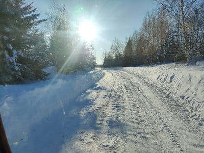 The image depicts a snow-covered unpaved road winding through a winter forest environment in Малая Уса, Russia, under a clear, sunny sky. The road, featuring distinct tire tracks, curves gently to the right and ascends toward the horizon. Deep snow banks line both sides of the road. To the left, a dense cluster of evergreen trees, heavily laden with snow, is illuminated by the bright sun, which causes significant lens flare in the upper left quadrant. A dark, reddish-brown object is partially visible in the extreme lower-left corner, suggesting the viewpoint is from inside a vehicle. To the right, the landscape consists of snow-covered ground and a mix of bare deciduous trees, including several birch trees, along with some distant evergreens. No individuals, animals, or explicit actions are observed.