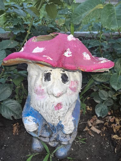 This is a close-up, eye-level shot of a weathered garden gnome. The gnome is made of concrete and painted with a pink, spotted mushroom cap for a hat, a white face with black eyes and rosy cheeks, and a blue outfit. The paint is chipped and worn in several places, particularly on the mushroom cap. The gnome is positioned outdoors, in front of a backdrop of green foliage, likely rose bushes given the thorny stems visible. The ground around the gnome is dark soil, scattered with dry leaves and some green shoots of grass. The lighting suggests it is daytime, possibly overcast as there are no strong shadows. There is no visible text in the image. The gnome appears to be a decorative garden ornament in a residential setting in Taldykorgan, Kazakhstan.