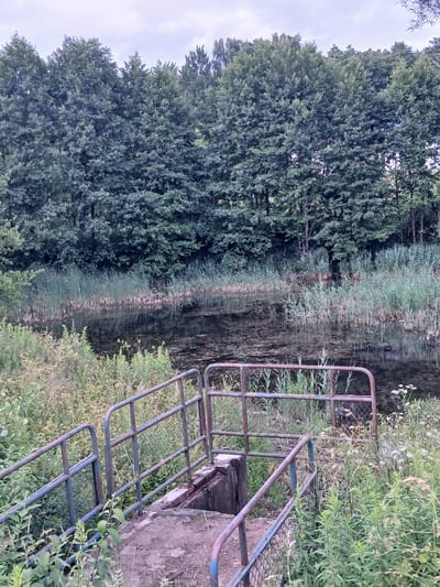 The image depicts a concrete structure with a rusty metal railing leading down to a body of water. The railing is painted blue and rust-colored, with vertical supports and horizontal bars. The concrete steps are worn and weathered. The water is dark and appears to be stagnant, with some debris floating on the surface and reeds growing along its edge. Behind the water is a dense line of green trees, creating a natural backdrop. The sky is overcast. The scene is located in an outdoor, natural setting, likely on the outskirts of the city of Shchomyslitsky Sel'skiy Sovet, Belarus. There are no people or animals visible in the image. The overall impression is one of a somewhat neglected, utilitarian structure integrated into a natural environment.