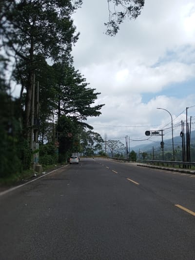 The image displays a two-lane asphalt road in Boommlog, Bhutan, winding through a verdant, mountainous environment under a partially cloudy sky. The road features a solid white line on its left edge and double yellow lines marking the center. On the left side, tall, dense evergreen trees and thick green foliage obscure the immediate background. Multiple utility poles with overhead electrical wires are present along this side. A white compact vehicle, possibly a hatchback, is parked or stopped on the left shoulder, partially obscured by a tree. Near the vehicle, a green rectangular sign is visible, below which a circular sign with a red border and a white 'S' on a blue background is affixed to a pole. On the right side of the road, a metal guardrail runs parallel to the asphalt, bordering a steep, tree-covered slope that descends into a valley. Distant mountains and hills are visible through a haze under the scattered clouds. Utility poles with interconnected wires and a curved street light standard are positioned on the right, overlooking the expansive landscape. No individuals are visible.