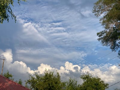 The image depicts a sky with scattered clouds, possibly taken on a partly cloudy day. The clouds vary in type, with some appearing as wispy cirrus clouds and others as larger, more voluminous cumulus clouds. The sky is a bright blue, indicating daylight, likely late morning or afternoon.
In the foreground, the tops of green trees are visible, with their leaves catching the sunlight. On the left side of the frame, a portion of a red-tiled roof can be seen, suggesting a rural or suburban setting. A wooden utility pole with some wires is also present, adding to the sense of a populated area. On the right side of the image, the branches of a large tree with dense foliage are visible against the sky. The overall scene conveys a sense of an outdoor environment, possibly a backyard or a view from a window. No people are visible in the image. There is no visible text.